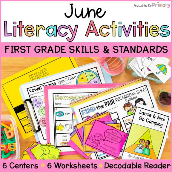 1st Grade June End of Year Summer Break Pronouns Nouns Homophones Contraction Literacy Center Worksheets