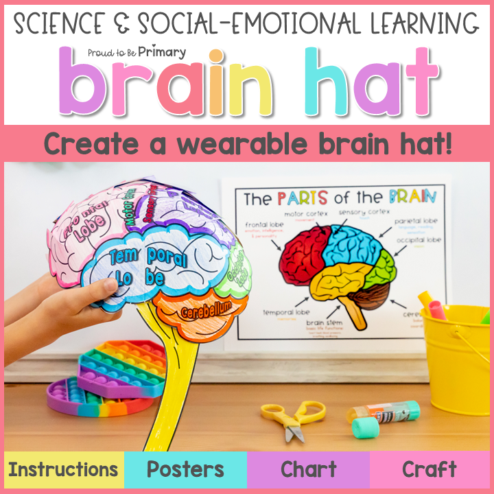 Human Parts of the Brain Wearable Hat Craft - Science & Growth Mindset Lessons