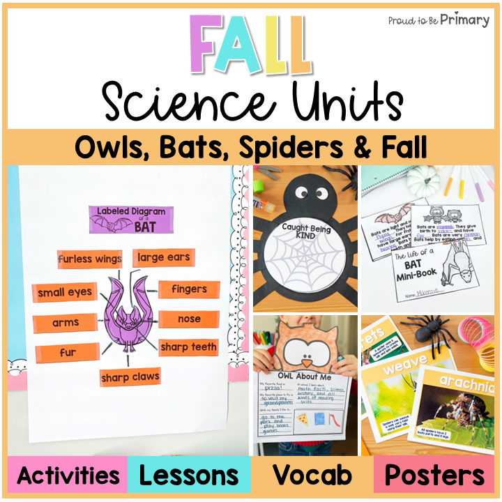 Fall Owl Bat Spider Activities, Writing, Crafts, Life Cycle, Science Unit Bundle