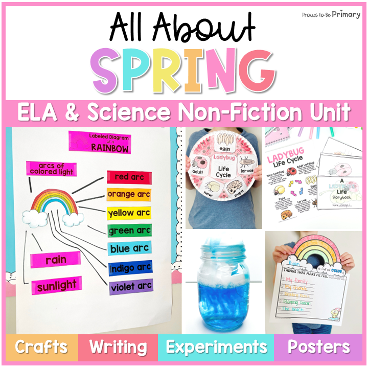 Spring Rainbow Plant Ladybug Life Cycle Craft Vocabulary Science Activities Unit