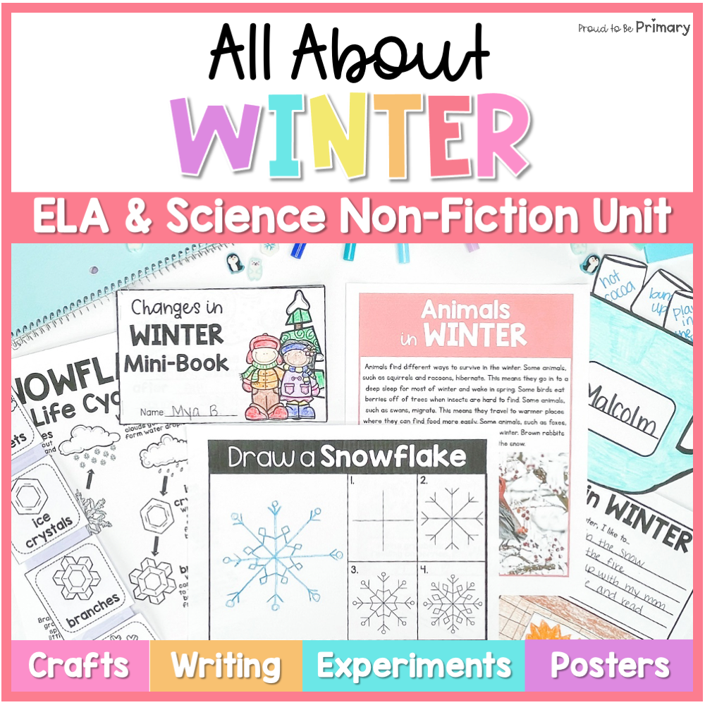 Winter Science, Reading, Writing, Craft Activities - Snow Flake Snowman Activity