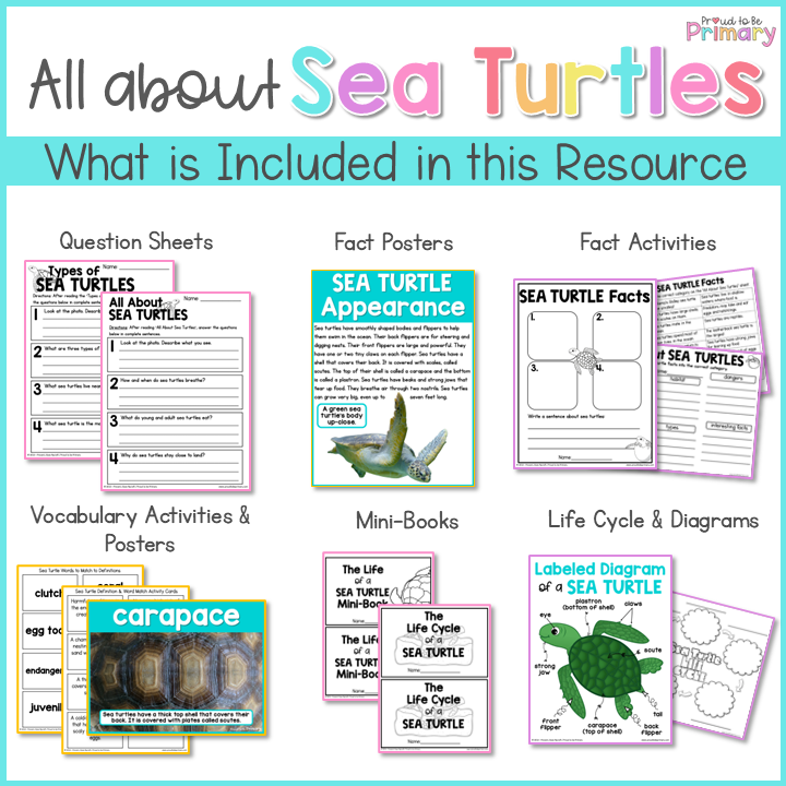 Sea Turtle Reptile Animal Science & Non-Fiction ELA Unit