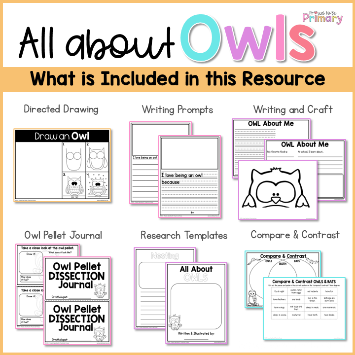 Owl Bird Science & Non-Fiction ELA Unit