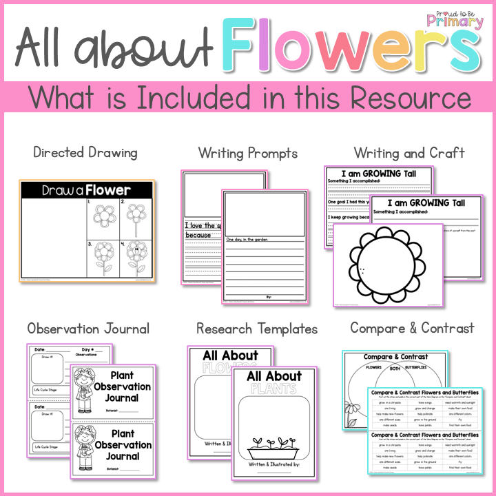 Flowers and Plant Growth & Change Science Unit