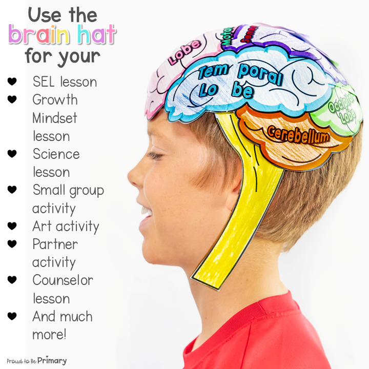 Human Parts of the Brain Wearable Hat Craft - Science & Growth Mindset Lessons