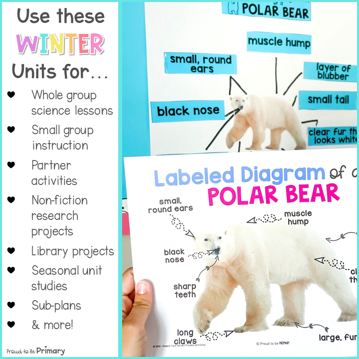 Winter Life Science Units - Polar Bears, Penguins Worksheets Activities & Crafts