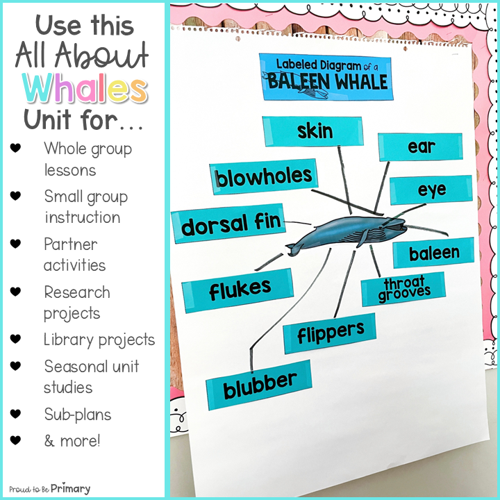 Whale Science & Non-Fiction ELA Unit