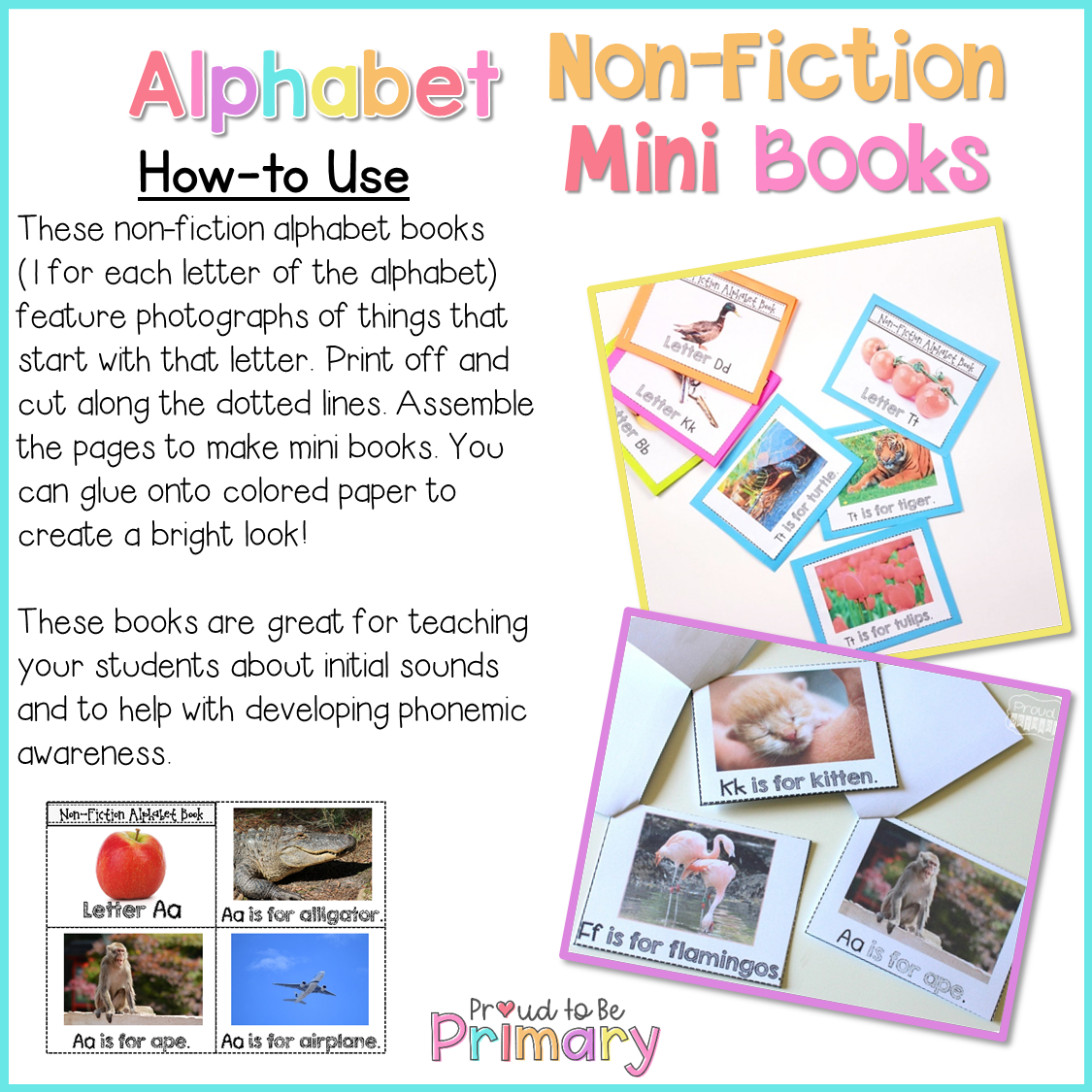 Alphabet Non-Fiction Mini Story Books - Proud to be Primary