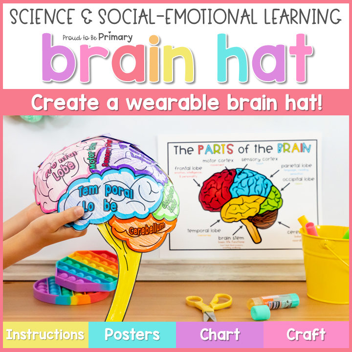 Human Brain Wearable Hat Craft