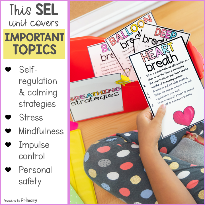 Self Management & Mindfulness 3-5 - Social Emotional Learning Curriculum