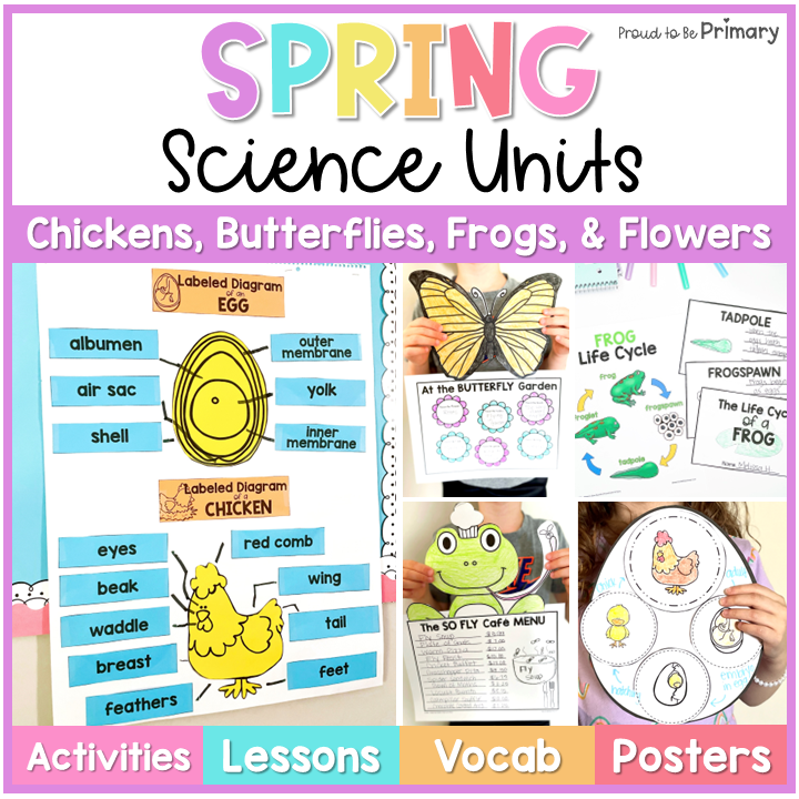 Butterfly, Chicken, Frog, Flower Life Cycle Crafts & Spring Science Activities